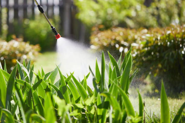 24/7 Emergency Wasp Removal experts in Hazel Crest, IL