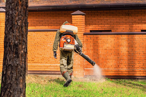 Top rated local Wasp Removal specialists in Hazel Crest, IL